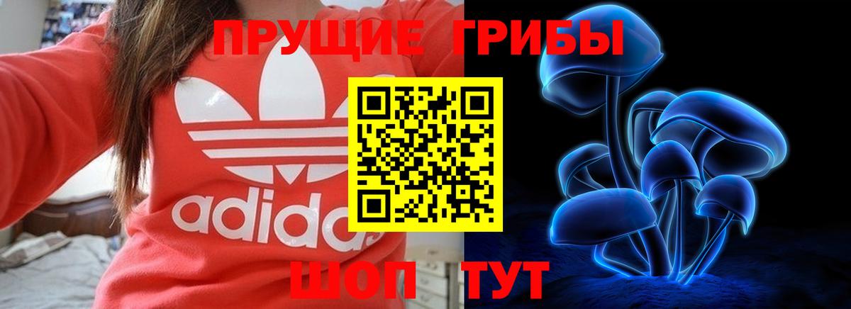 Псилоцибиновые грибы мухоморы  закладка  Псилоцибиновые грибы ЛСД  Волжский  Вход с VPN 